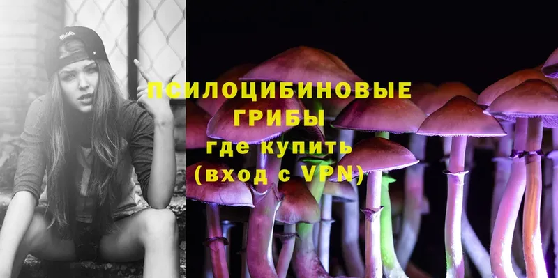 как найти закладки  Бронницы  Псилоцибиновые грибы Psilocybine cubensis 